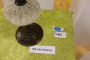photo0